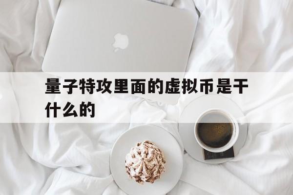 量子特攻里面的虚拟币是干什么的-量子特攻里面的虚拟币是干什么的啊