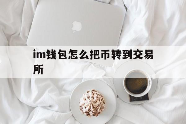 im钱包怎么把币转到交易所-im钱包怎么用uniswap交易所教程