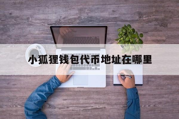 小狐狸钱包代币地址在哪里-小狐狸钱包代币地址在哪里查看