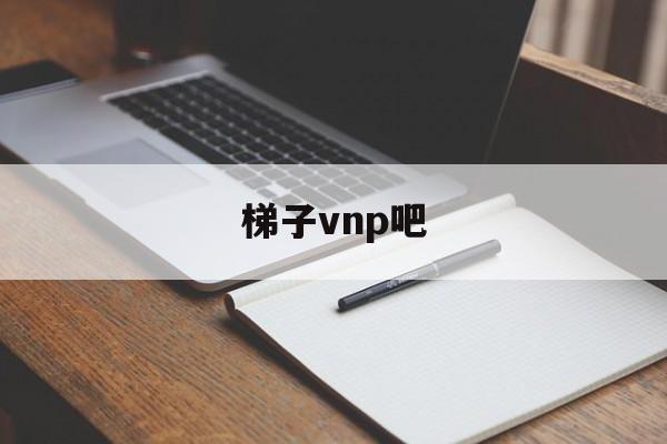 梯子vnp吧-小蓝鸟pvn加速器大全