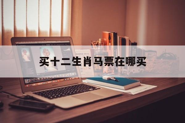 买十二生肖马票在哪买:十二生肖买马怎么看结果