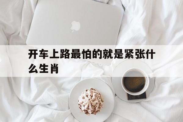 开车上路最怕的就是紧张什么生肖的简单介绍