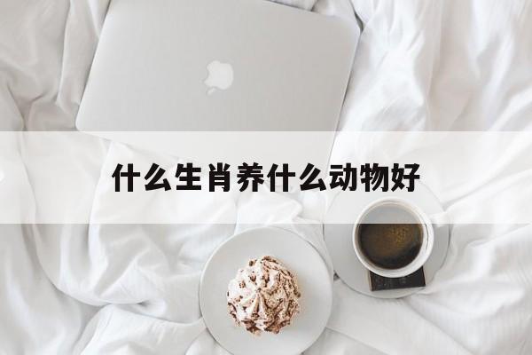什么生肖养什么动物好的简单介绍